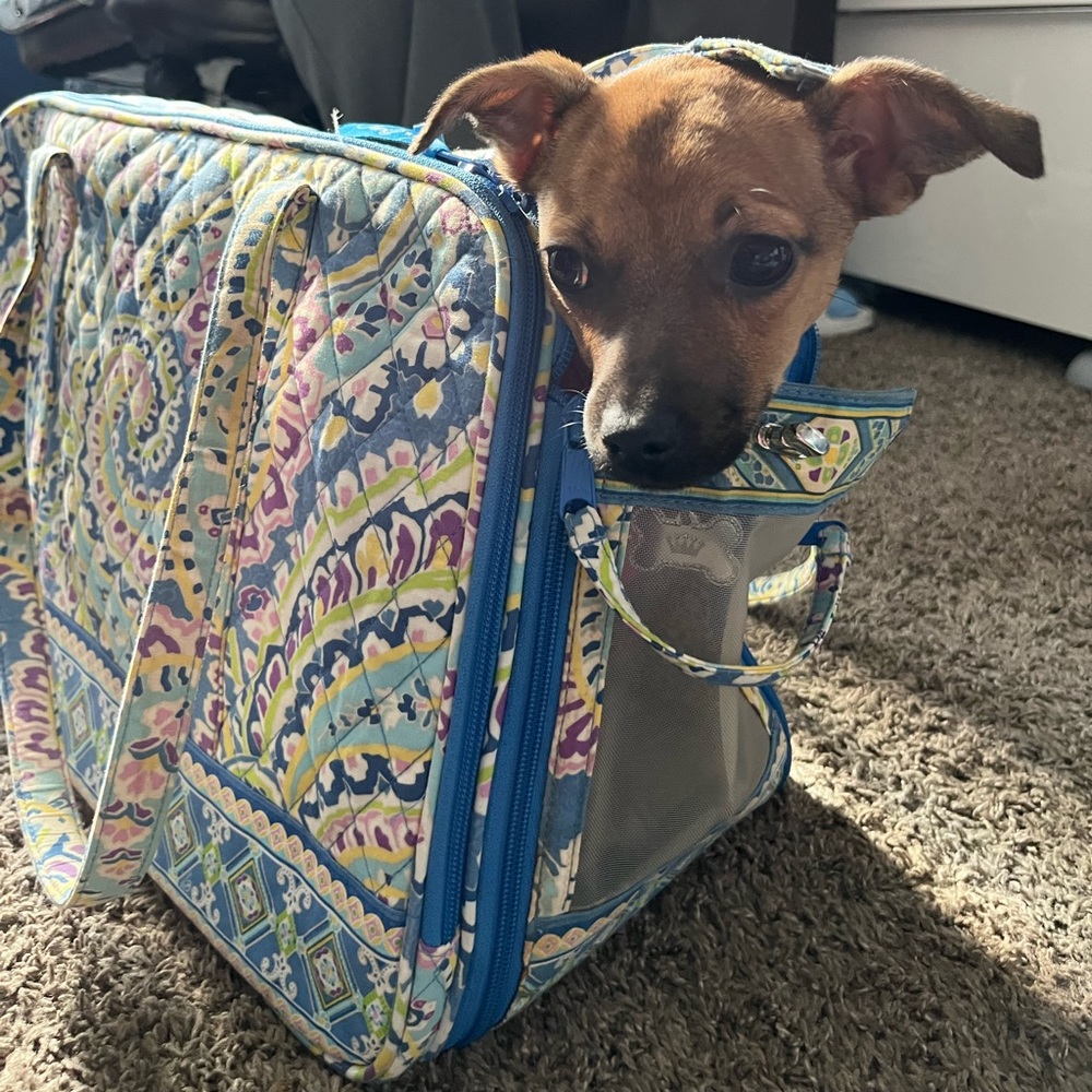 Vera Bradley pet carrier